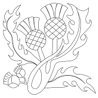 scottish thistle 001